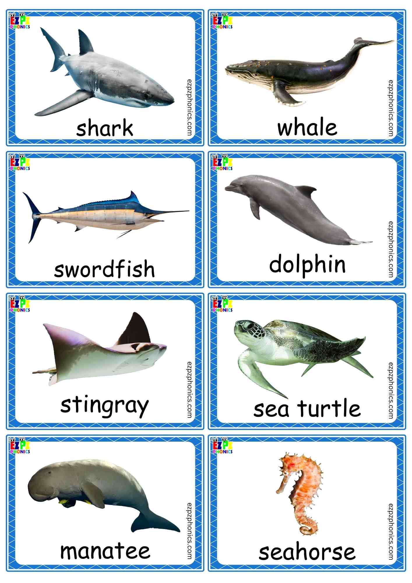 Sea Animals Mini Flashcards Free PDF